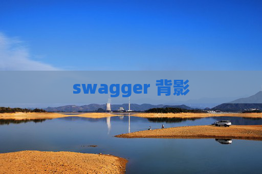 swagger 背影